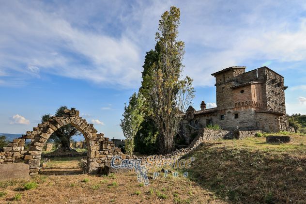 Esclusivo castello medievale ristrutturato - Foto 9