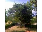 B&B Acqua e Sale