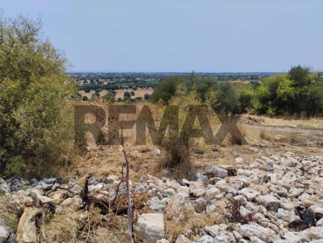 Terreno Edificabile in vendita a Rosolini - Foto 7