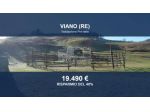 Immobile in asta di 12503 m² in vendita a Viano