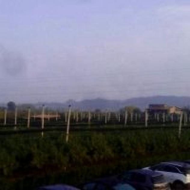 Agriturismo Corte Ambrosi - Foto 4
