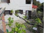 Vicino a s'anea scoada
