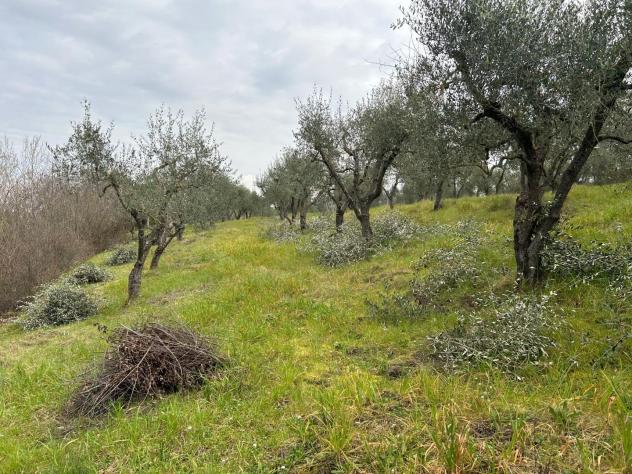 Terreno agricolo in vendita a Corniola - Empoli 20000 mq Rif: 1099670 - Foto 5
