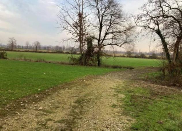 Immobile in asta di 39370 m² in vendita a Goito - Foto 2