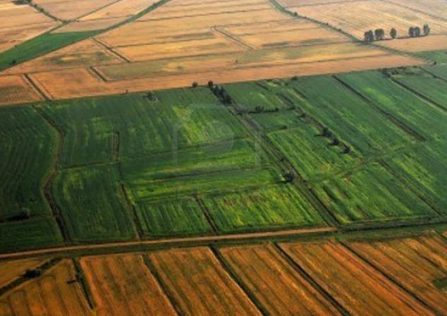 Terreno a Piove di Sacco - Rif. TERRENI CERCASI - Foto 2
