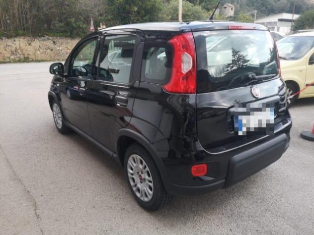 FIAT Panda 1.0 FireFly S&S Hybrid rif. 23745738 - Foto 4