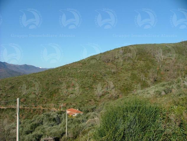 Alassio Andora, terreno incolto collinare, vista mare. - Foto 7