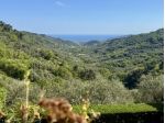 Bilocale in vendita a Diano Arentino