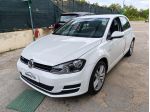 Volkswagen Golf Business 1.4 TGI 5p. Highline BlueMotion