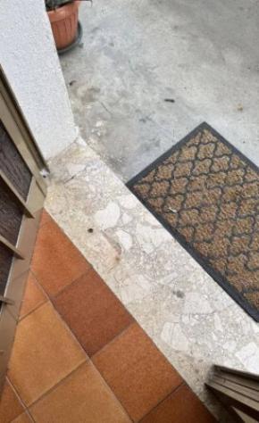 Immobile in asta di 158 m², box auto in vendita a Carrè - Foto 3