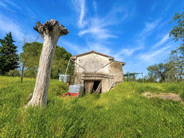 Casa singola in vendita a Palaia 210 mq Rif: 1414470 - Foto 4