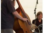 Violoncellista Busto Arsizio