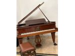 Pianoforte a Coda Gebrüder Knake – Eleganza Tedesca, Suono Profondo