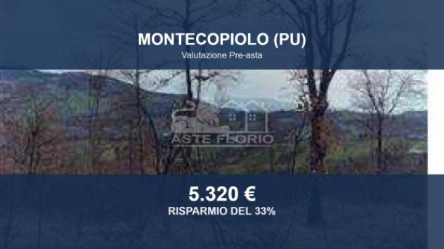 Immobile in asta di 26446 m² in vendita a Montecopiolo