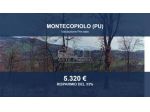 Immobile in asta di 26446 m² in vendita a Montecopiolo