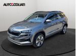 Škoda Karoq Karoq 2.0 TDI 115 CV EVO SCR Executive DSG