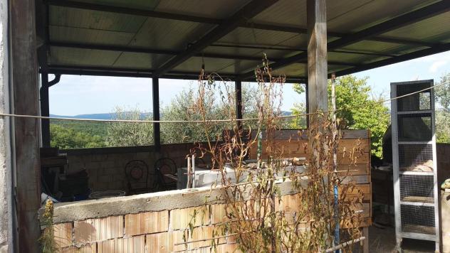 Terreno edif. residenziale in vendita a Paganico - Civitella Paganico 50000 mq Rif: 1072899 - Foto 9