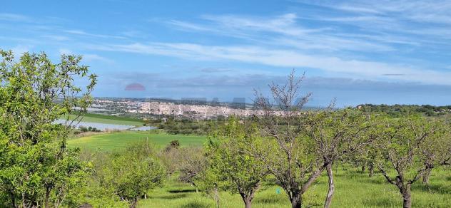 Terreno in vendita a Noto - Foto 4