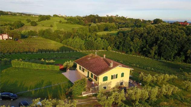 Villa mont 1600 - Villa a Montecarlo - Foto 3