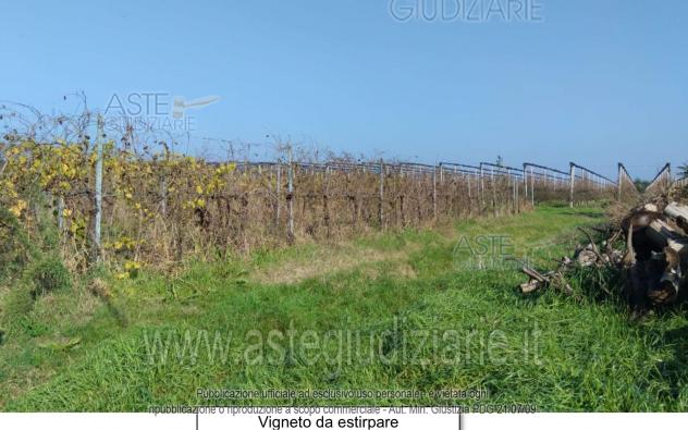 IMMOBILI-IMMOBILE RESIDENZIALE-Via Viazza, 41030 San Prospero MO, Italia - Foto 7