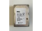 Hard disk interno 3.5 DELL, 300 GB