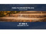 Immobile in asta di 1830 m² in vendita a Fara Filiorum Petri