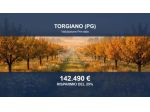 Immobile in asta di 80920 m² in vendita a Torgiano
