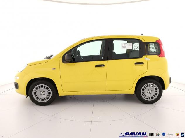 FIAT Pandina 1.0 FireFly 65 CV Hybrid Pop - Foto 6