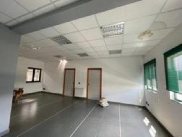 Immobile in asta di 18277 m² con più di 5 locali in vendita a Modugno - Foto 17