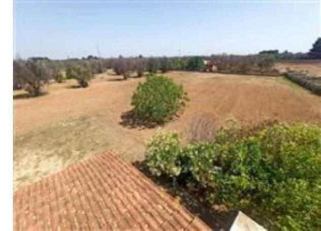 Immobile in asta di 4585 m² con più di 5 locali in vendita a Carovigno - Foto 4