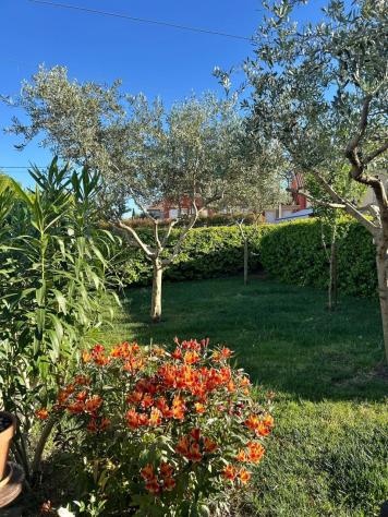 Terratetto in vendita a Sarzana - Foto 4