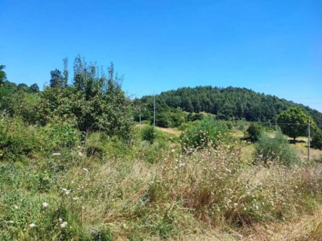 Immobile in asta di 10550 m² in vendita a Pietrabbondante - Foto 3