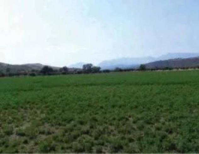 Immobile in asta di 37060 m² in vendita a Roggiano Gravina - Foto 2