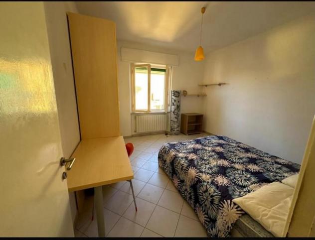 Stanza/Posto Letto in affitto a Pisa 80 mq Rif: 1425874