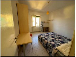 Stanza/Posto Letto in affitto a Pisa 80 mq Rif: 1425874