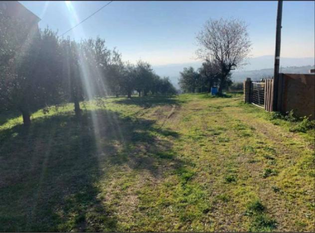 Immobile in asta di 2560 m² in vendita a Sant'Elpidio a Mare - Foto 2