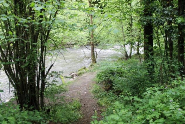 Immobile in asta di 20042 m² in vendita a Carate Brianza - Foto 4