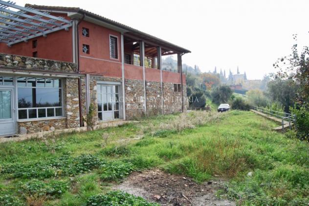 VILLA di 20 vani e di 440 mq (PIETRASANTA - Pietrasanta ) rif. 323/VE - Foto 9