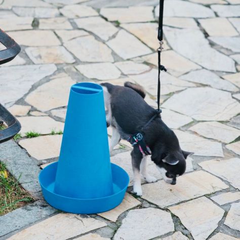 Set addestramento per cuccioli