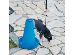 Set addestramento per cuccioli