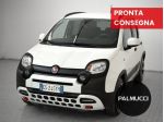 FIAT Panda Cross Panda 1.0 firefly hybrid Cross s&s 70cv 5p.ti