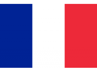 Francese docente madrelingua. Esperienza pluriennale