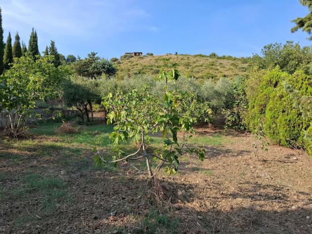Agricolo in Via Alberto Moravia - Foto 6