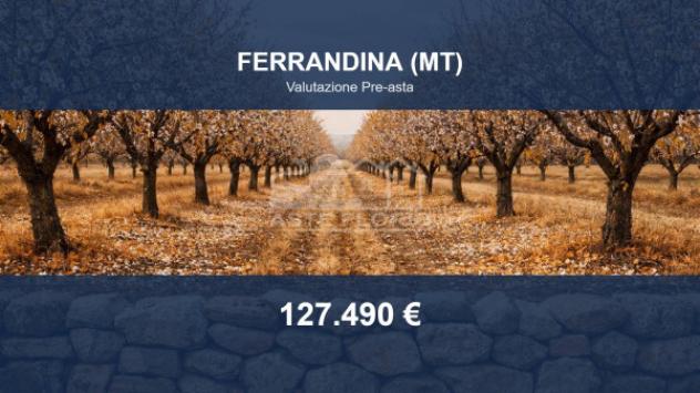 Immobile in asta di 467142 m² in vendita a Ferrandina