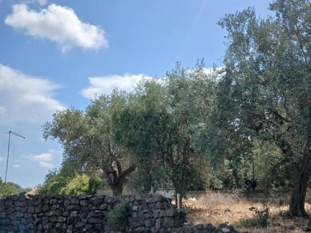 Agricolo in vendita a Misterbianco - Foto 10