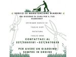 Manutenzione Giardino