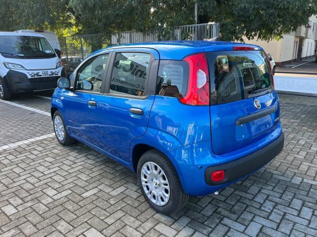 FIAT Pandina Pandina 1.0 firefly hybrid Icon s&s 65cv - Foto 9
