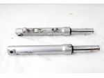 PIAGGIO LIBERTY 125 1C003527 1C003528 COPPIA FORCELLE ANTERIORI 21 - 24 FRO &hellip;