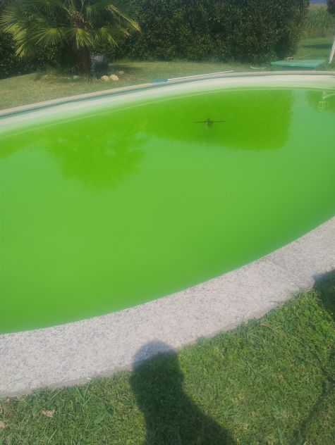 Tecnico manutentore piscine. - Foto 4