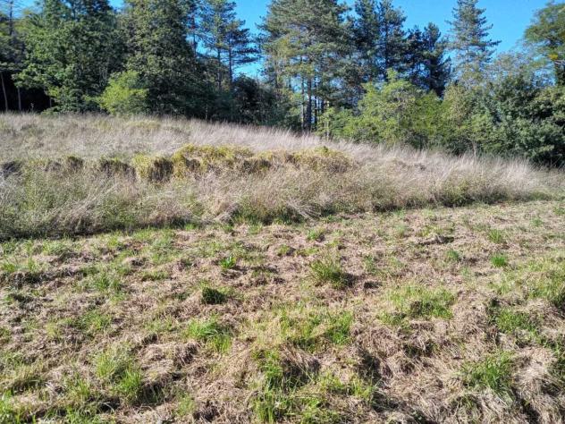 Terratetto in vendita a Varese Ligure - Foto 11